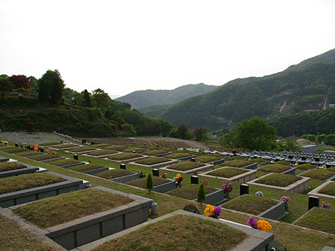 슬라이드이미지