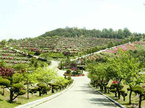 슬라이드이미지