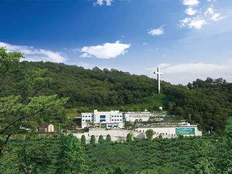 슬라이드이미지