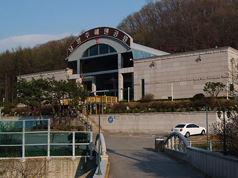슬라이드이미지