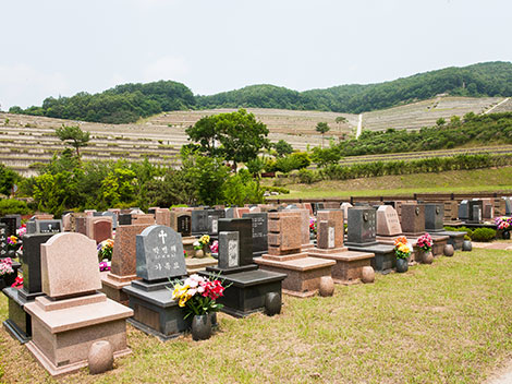 슬라이드이미지