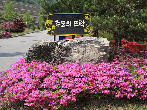 슬라이드이미지
