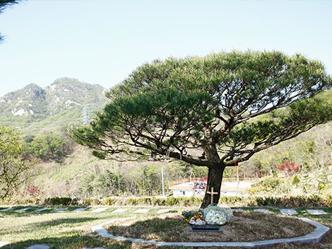 슬라이드이미지