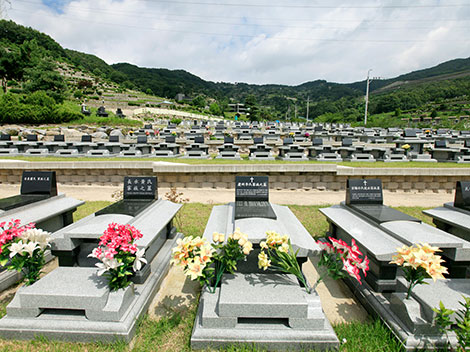 슬라이드이미지