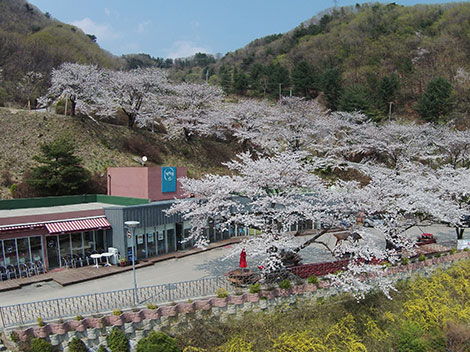 슬라이드이미지
