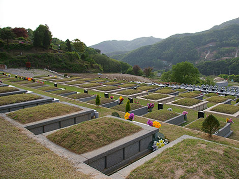 슬라이드이미지