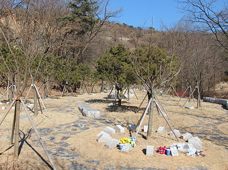 슬라이드이미지