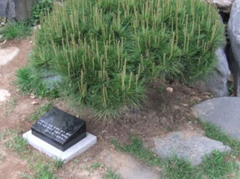 슬라이드이미지
