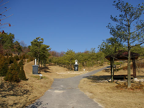 슬라이드이미지