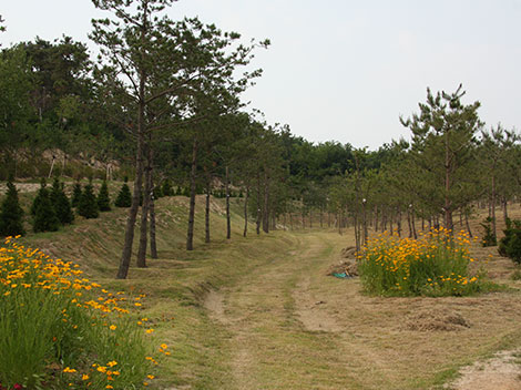 슬라이드이미지