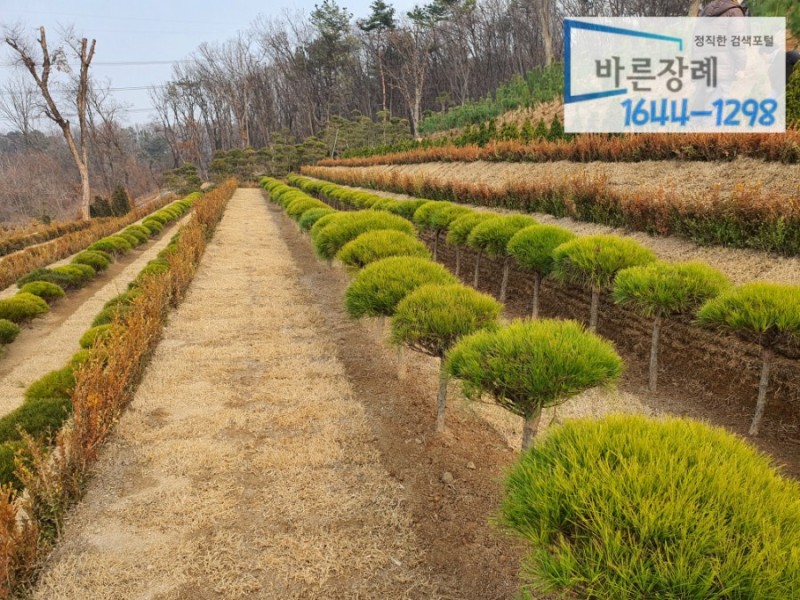 KakaoTalk_20210207_204617466_03.jpg